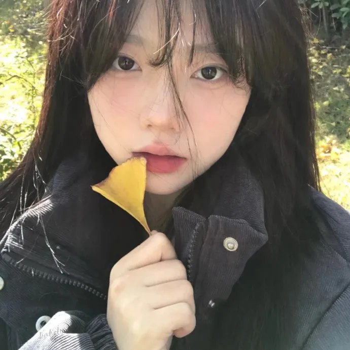 纽约摄影师的日与夜